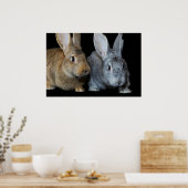 Poster Ensemble (Cuisine)