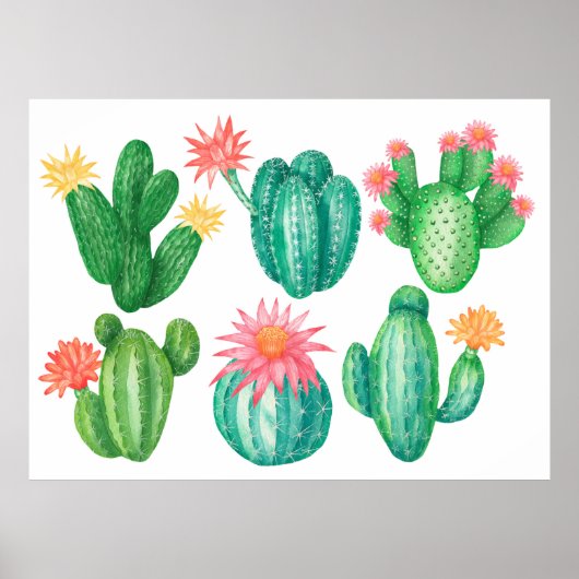 Poster Ensemble de cactus à fleurs. Éléments isolés sur u (Devant)