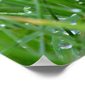 Poster Ensemble. Toujours (Coin)