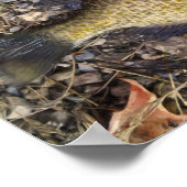 Poster Ensoleillé (Coin)