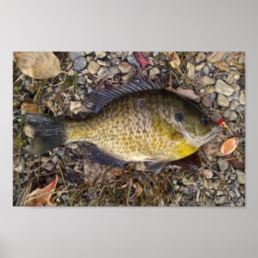 Poster Ensoleillé (Devant)