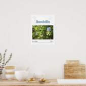 Poster Ensoleillé (Cuisine)