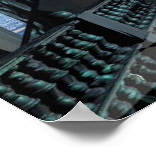 Poster Enter the Solstice (Coin)