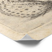 Poster Entomologie vintage des insectes d'abeilles (61) (Coin)