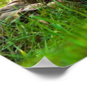 Poster Entraînement au sniper (Coin)