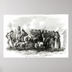 Poster Entraînement des bétail pour le loyer