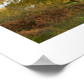 Poster Entre les chênes : Cheshire rural (Coin)