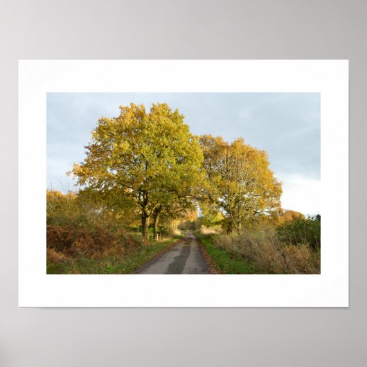 Poster Entre les chênes : Cheshire rural (Devant)