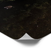 Poster Entre Les Îles, Lac Roath Park, Cardiff. (Coin)