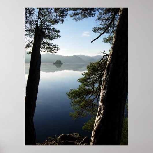 Poster Entre les pins (Devant)