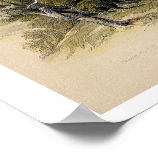 Poster Entrée à Naplouse, 17 avril 1839, assiette 41 pour (Coin)