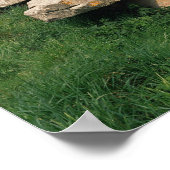 Poster Entrée de l'hypogée (Coin)