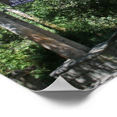 Poster "Entrée Muir Woods" (Coin)