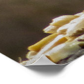 Poster Envies (Coin)