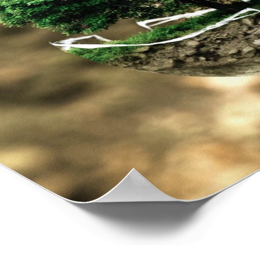 Poster environmental protection (Coin)