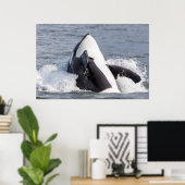 Poster Épaulard faisant une cabriole (Bureau à domicile)
