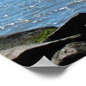 Poster Épave du cap May (Coin)