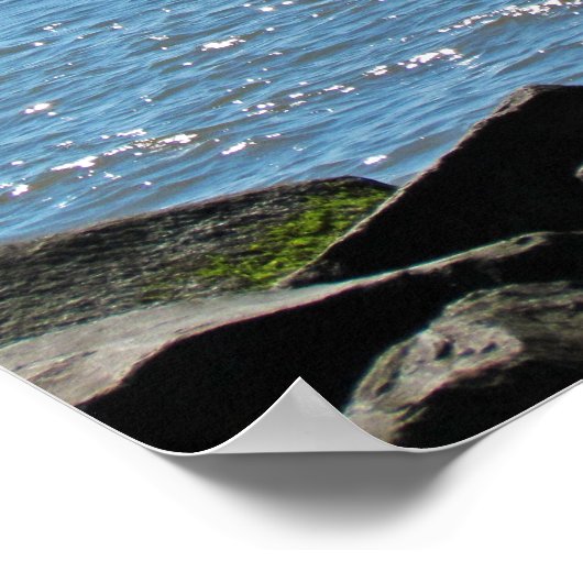 Poster Épave du cap May (Coin)