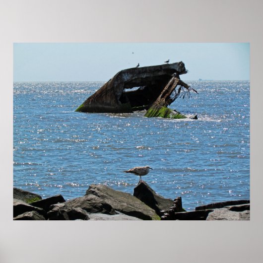 Poster Épave du cap May (Devant)