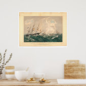 Poster Épave du navire à vapeur "San Francisco" (1877A) (Cuisine)