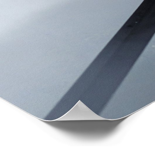 Poster Épée dans l'eau avec canard (Coin)