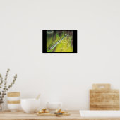 Poster Épée de destruction (Cuisine)