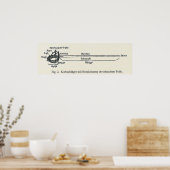 Poster Épée d'escrime Korbschläger (Cuisine)