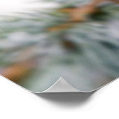 Poster Épervier américain en hiver (Coin)