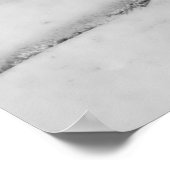 Poster Épervier Brown (Coin)