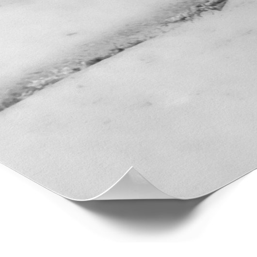 Poster Épervier Brown (Coin)