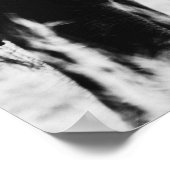 Poster Ephelphène africain noir et blanc (Coin)