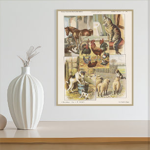 Poster Éphémère de la collection d'animaux de ferme