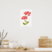 Poster Epidendrum radicans oranges orchidées (Cuisine)