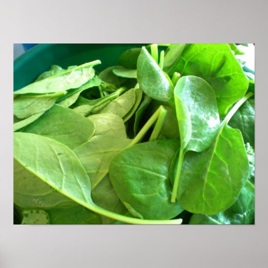 Poster Épinard (Devant)
