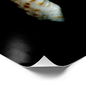 Poster Epingle (Coin)
