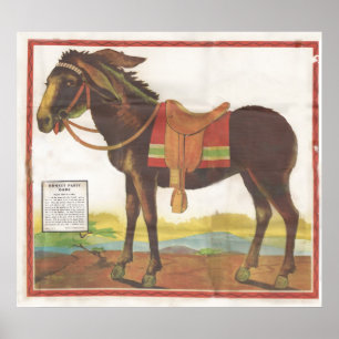 Poster Épingler La Queue Sur L'Âne