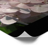 Poster Épouse roussante et jambe longue (Coin)