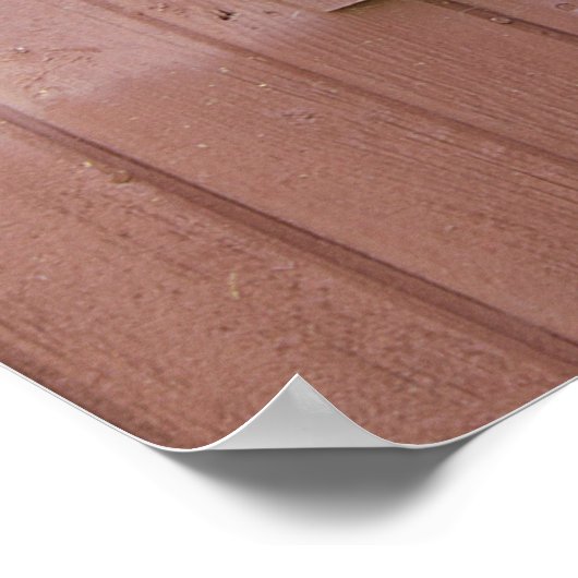 Poster Épouses (Coin)