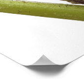 Poster Épouses de fougères 2 (Coin)