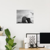 Poster Equateur, Îles Galapagos, Île Darwin, Vagues (Bureau à domicile)