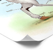Poster équestre d'anatomie équestre de la baie Tob (Coin)
