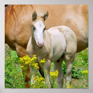 Poster Equine Art afdrukken