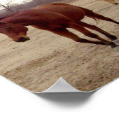 Poster Equine Suivez l'affiche Leader (Coin)