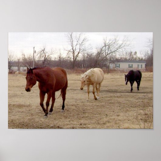 Poster Equine Suivez l'affiche Leader (Devant)