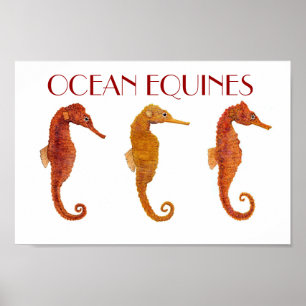 Poster Equines océaniques