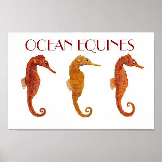 Poster Equines océaniques (Devant)