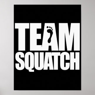 POSTER ÉQUIPE -
