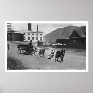 Poster Équipe Alaska 1904 de chien de blanchisserie