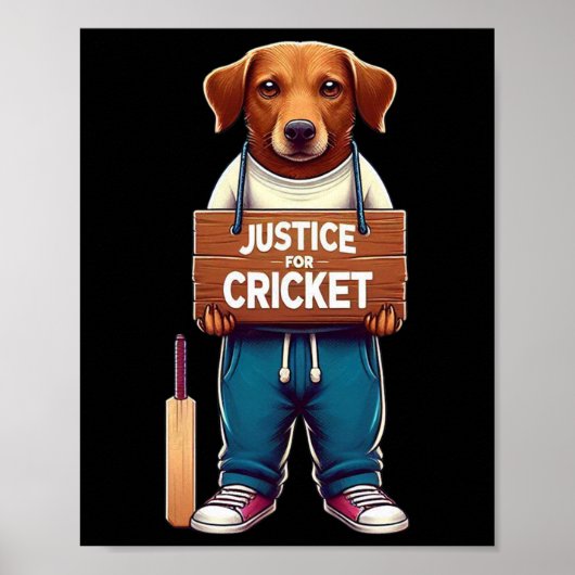 Poster Équipe Cricket (Devant)
