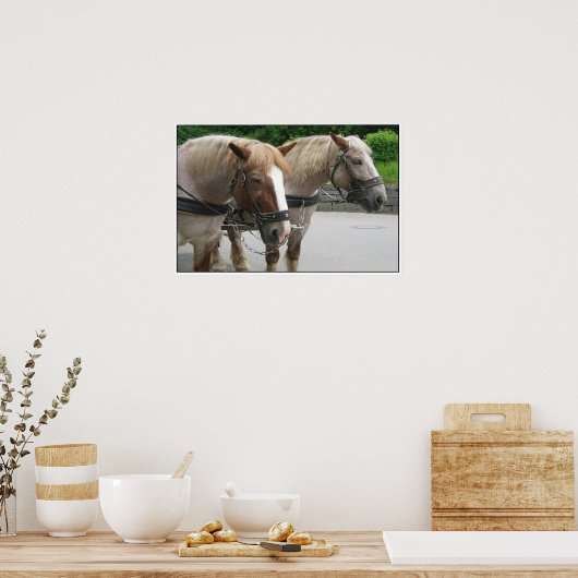 Poster Équipe de Belgique (Cuisine)